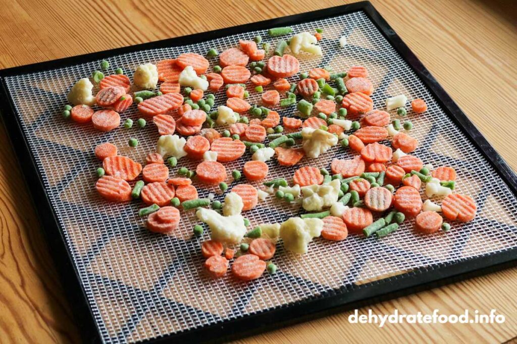 food dehydrator tray