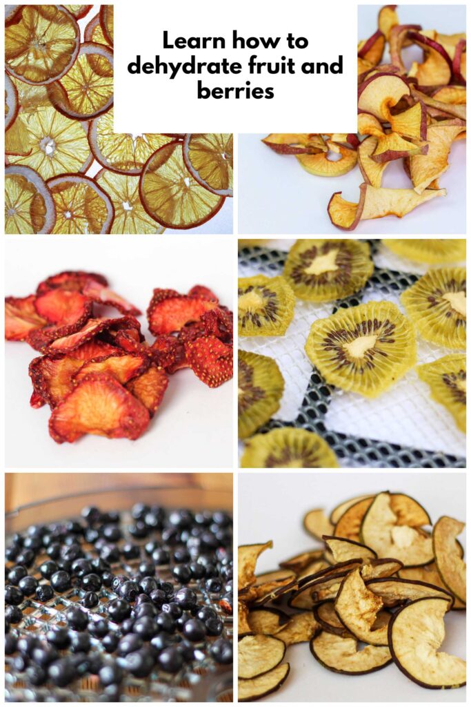 learn how to dehydrate fruit and berries