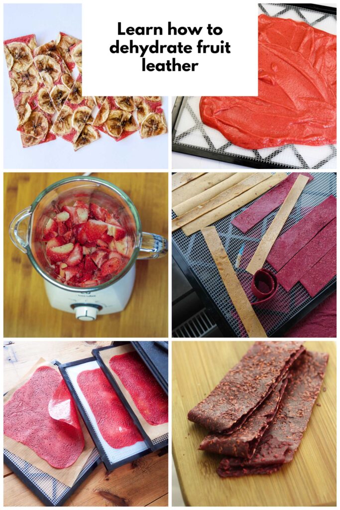 learn how to dehydrate fruit leather