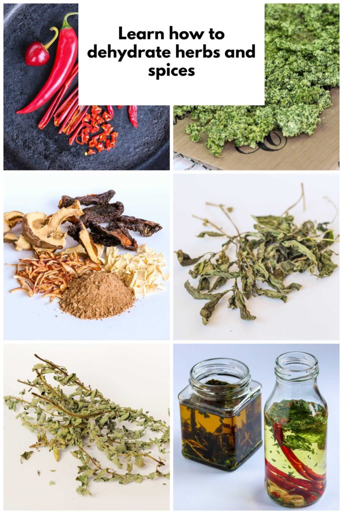 learn how to dehydrate herbs and spices