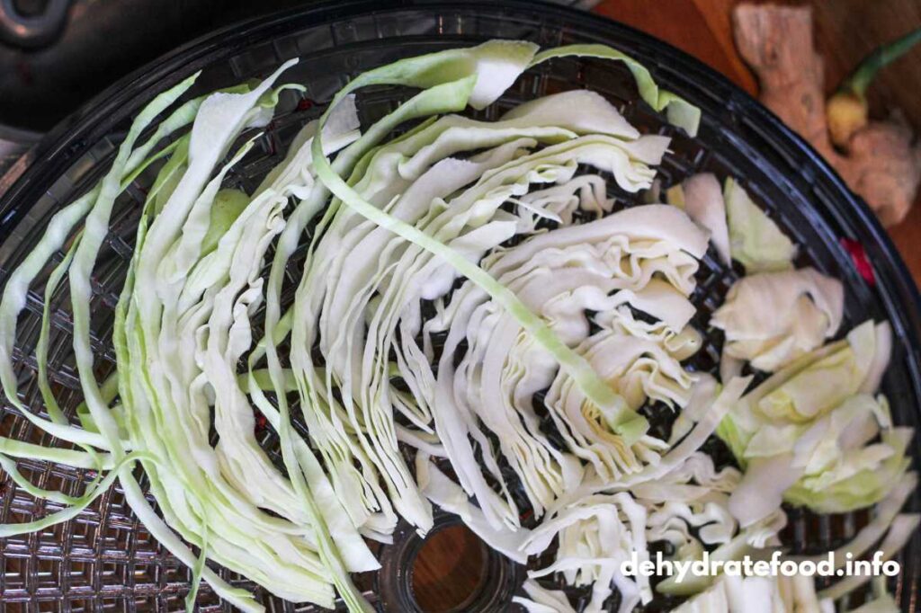 Cabbage on dehydrator tray.