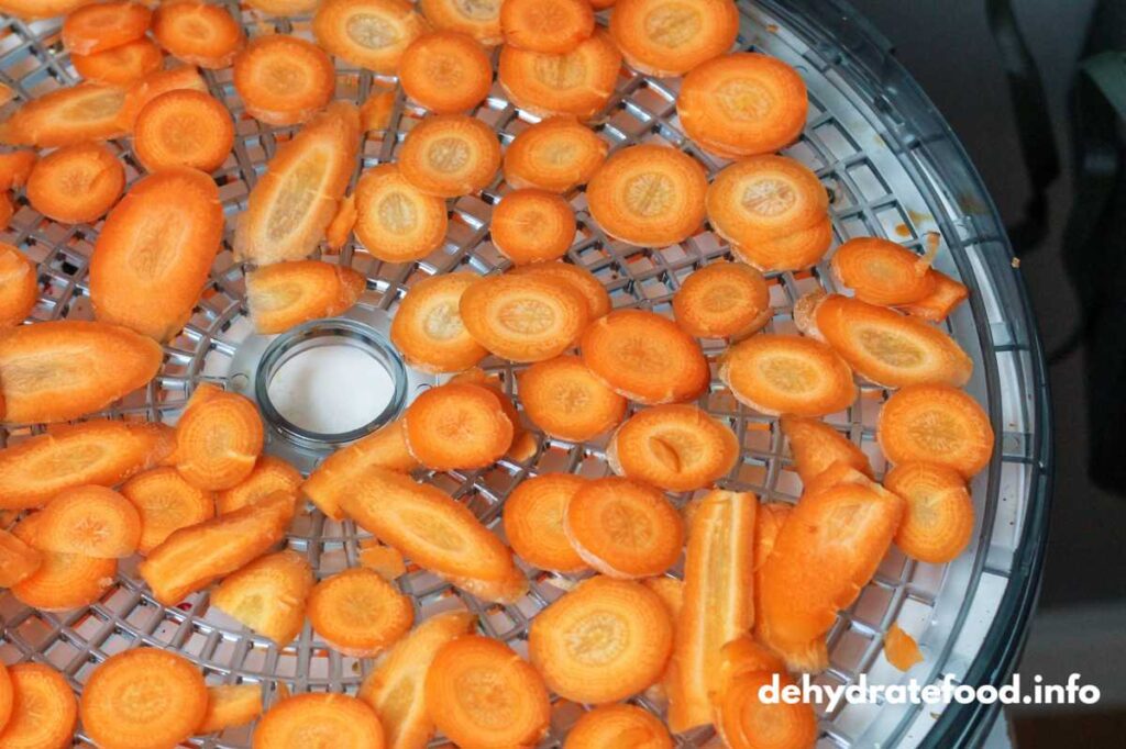 carrots in a dehydrator