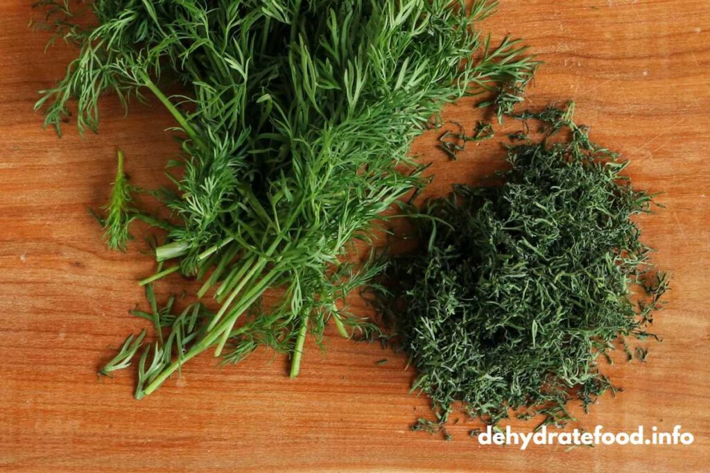 Fresh and dehydrated dill