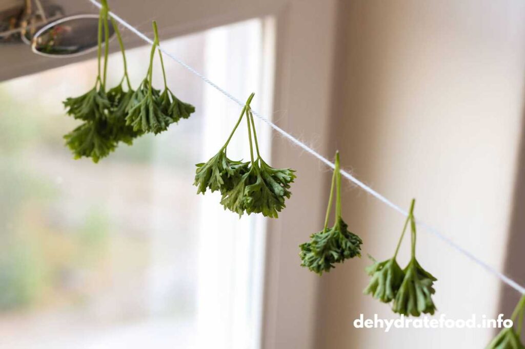 DEHYDRATE HERBS