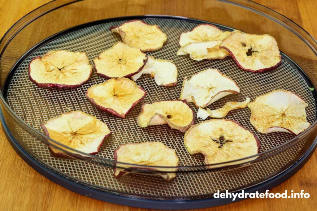 dehydrate fruit